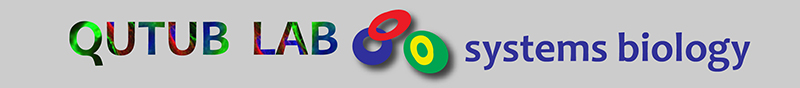 Qutub Lab Logo